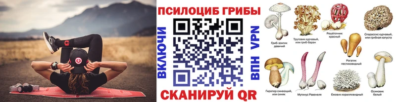 Псилоцибиновые грибы Magic Shrooms  Закаменск 